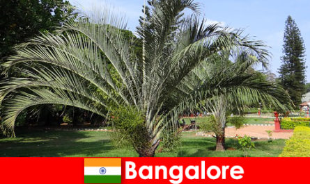 Приятният климат на Бангалор през цялата година си заслужава пътуване за всеки чужденец