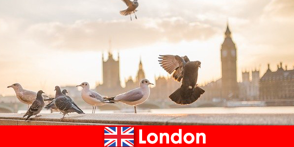 Интересни места в Лондон за международни посетители