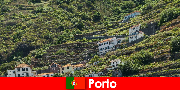Дестинация за почивка в Порто за любителите на виното от цял ​​свят
