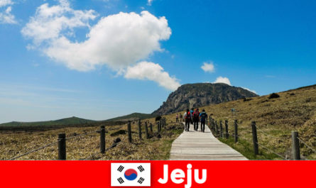 Туристите се разхождат из фантастичния природен пейзаж в Чеджу, Южна Корея