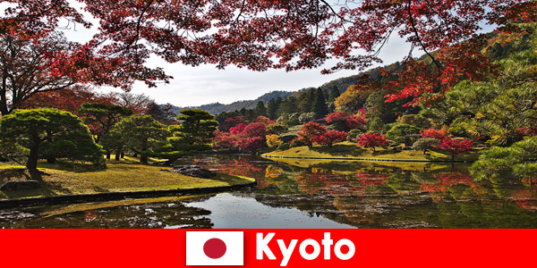 Пътуване в чужбина до Киото, Япония, за да видите прочутото оцветяване на есенната зеленина