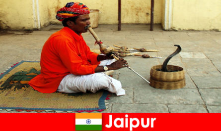 В Джайпур, Индия, почиващите изпитват танци на змии и забавления по оживените улици