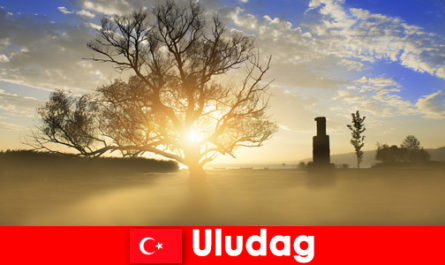 Туристите се наслаждават на красивата природа в Улудаг Турция