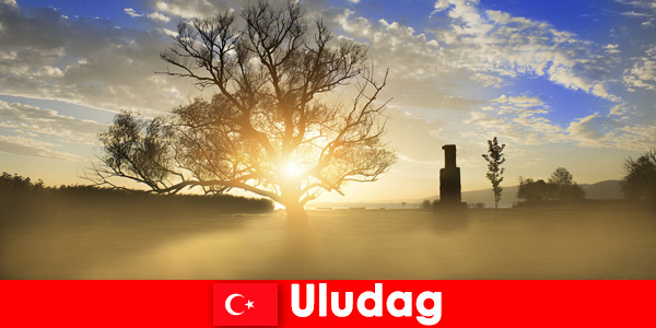Туристите се наслаждават на красивата природа в Улудаг Турция