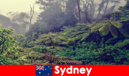 Изследователско пътуване до Сидни, Австралия във впечатляващия свят на националните паркове