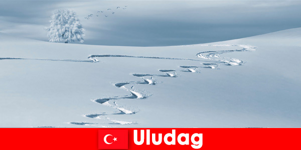 Улудаг Турция резервирайте ваканционно пътуване със семейството си в красивата ски зона