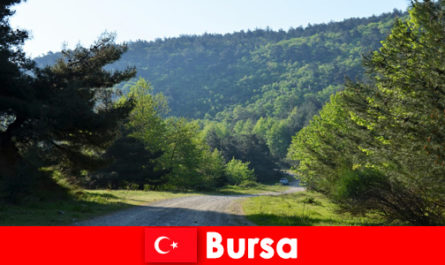Бурса Турция предлага организирани екскурзии за пешеходни туристи сред красивата природа