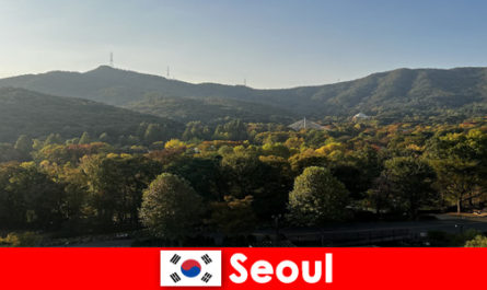 Популярни ваканционни пакети за групи до Сеул Южна Корея