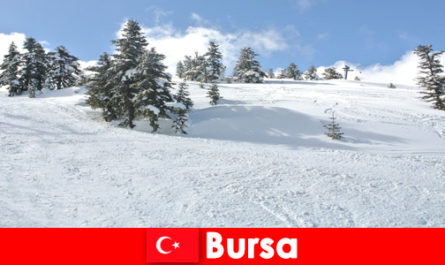Зимно пътуване за семейства в най-голямата ски зона Бурса Турция
