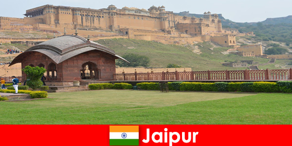 Приятно пътуване с най-доброто обслужване за почиващите в Джайпур, Индия