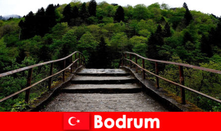 Меката температура е най-доброто време за туризъм за почиващите в Бодрум Турция