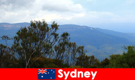 Релаксиращи къмпинг ваканции за туристи сред природата в Сидни, Австралия