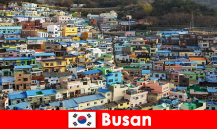 Пътуване в чужбина до Пусан Южна Корея с култура на хранене на всеки ъгъл за малко пари