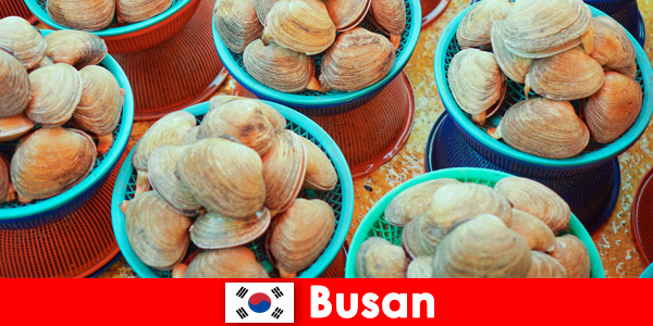 Пусан Южна Корея има ежедневно пресни морски дарове на пазара