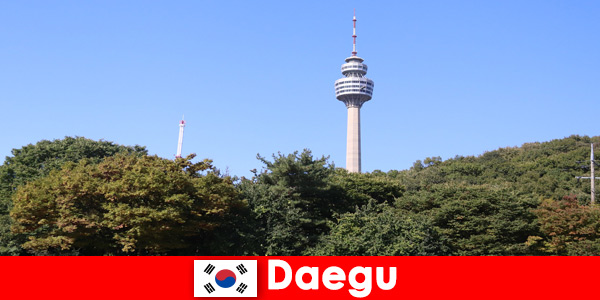 Красивият град в Тегу Южна Корея обичат туристите от цял ​​свят