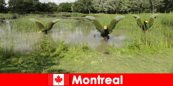 Открийте природата и редките животни в Монреал, Канада