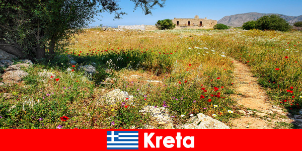 Здравословна средиземноморска храна с изживявания от природата очаква почиващите в Крит, Гърция