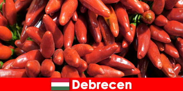 Най-известният зеленчук, който се намира в почти всяко ястие в Дебрецен, Унгария
