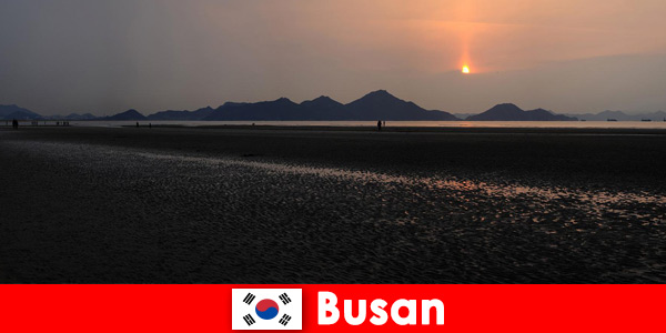 Насладете се на недокосната природа и много дейности в Пусан Южна Корея
