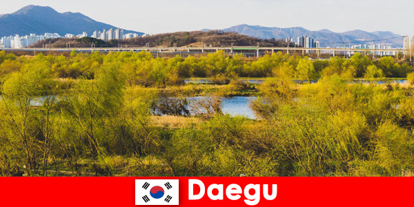 Най-добри съвети за независими пътници в Тегу, Южна Корея