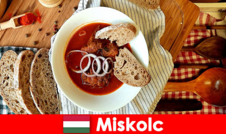 Гостите в Мишколц Унгария се наслаждават на местните местности и култура