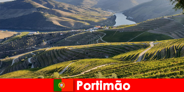 Гостите обичат дегустацията на вино и деликатеси в планините на Портимао Португалия