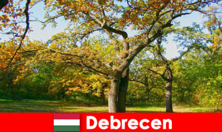 Спа почивка за пенсионери в Дебрецен Унгария с много сърце