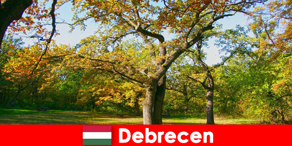 Спа почивка за пенсионери в Дебрецен Унгария с много сърце