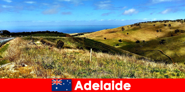 Пътуване на дълги разстояния за туристи до Аделаида Австралия в прекрасния природен свят