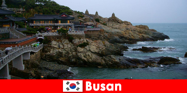 Пусан, Южна Корея, град, в който да се влюбите