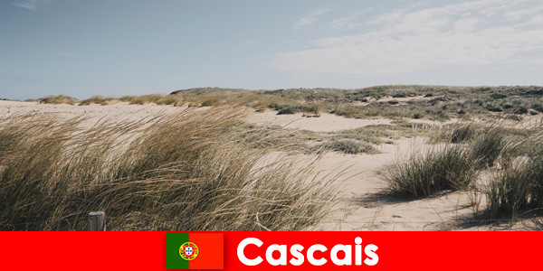 Вятърът, слънцето и морето предлагат фантастично спокойствие в Кашкайш, Португалия