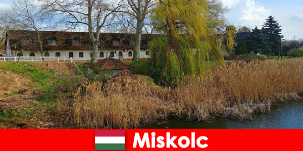Сравнете цените за хотел и настаняване в Мишколц, Унгария си струва