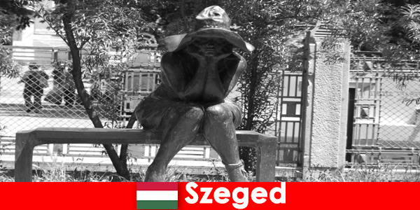 Има многобройни каменни фигури, на които да се възхищавате в Сегед, Унгария