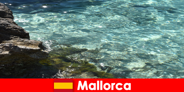 Мечтано място за копнеж за всички посетители е Майорка в Испания