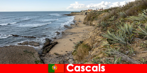 Дълги преходи и пълноценна наслада на околностите в Кашкайш, Португалия